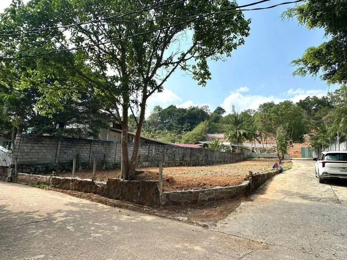 Bán đất lô góc 2 mặt tiền 1133m² Trần Hưng Đạo, Khánh Hòa - Ảnh thu nhỏ 3