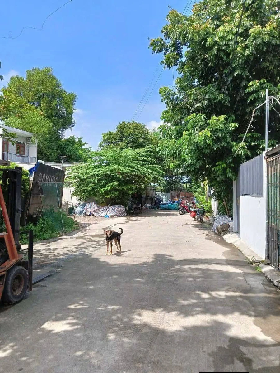 Bán lô đất Bình Hoà Thuận An Bình Dương 111.5m2, 3.3 tỷ - Ảnh thu nhỏ 3