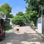 Bán lô đất Bình Hoà Thuận An Bình Dương 111.5m2, 3.3 tỷ - Ảnh thu nhỏ 3