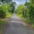 Bán đất tại Xã Mỹ Hòa, Tháp Mười, Đồng Tháp, 16 tỷ, 3053,5 m2 - Ảnh thu nhỏ 7