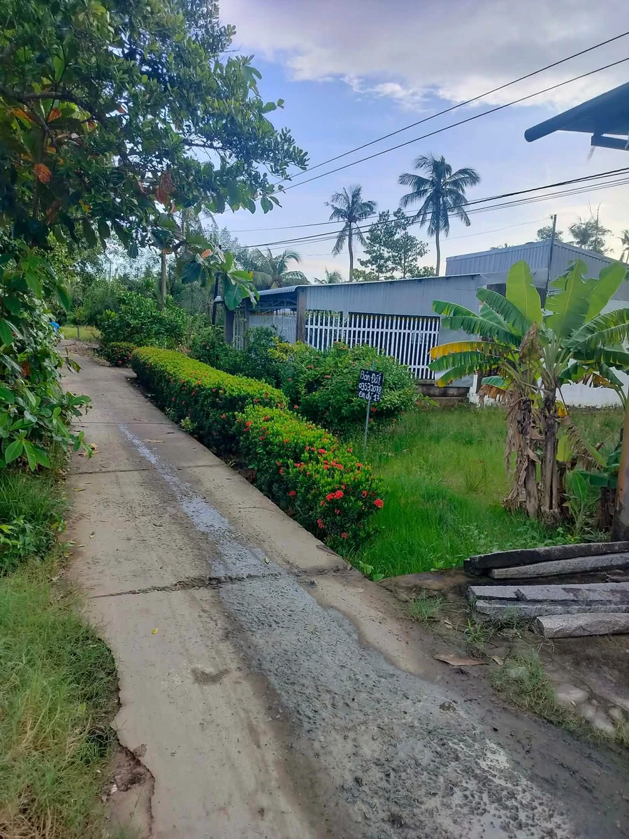 Bán nền đất Kinh Dài Tây Yên 8x30m 500 triệu - Ảnh thu nhỏ 2