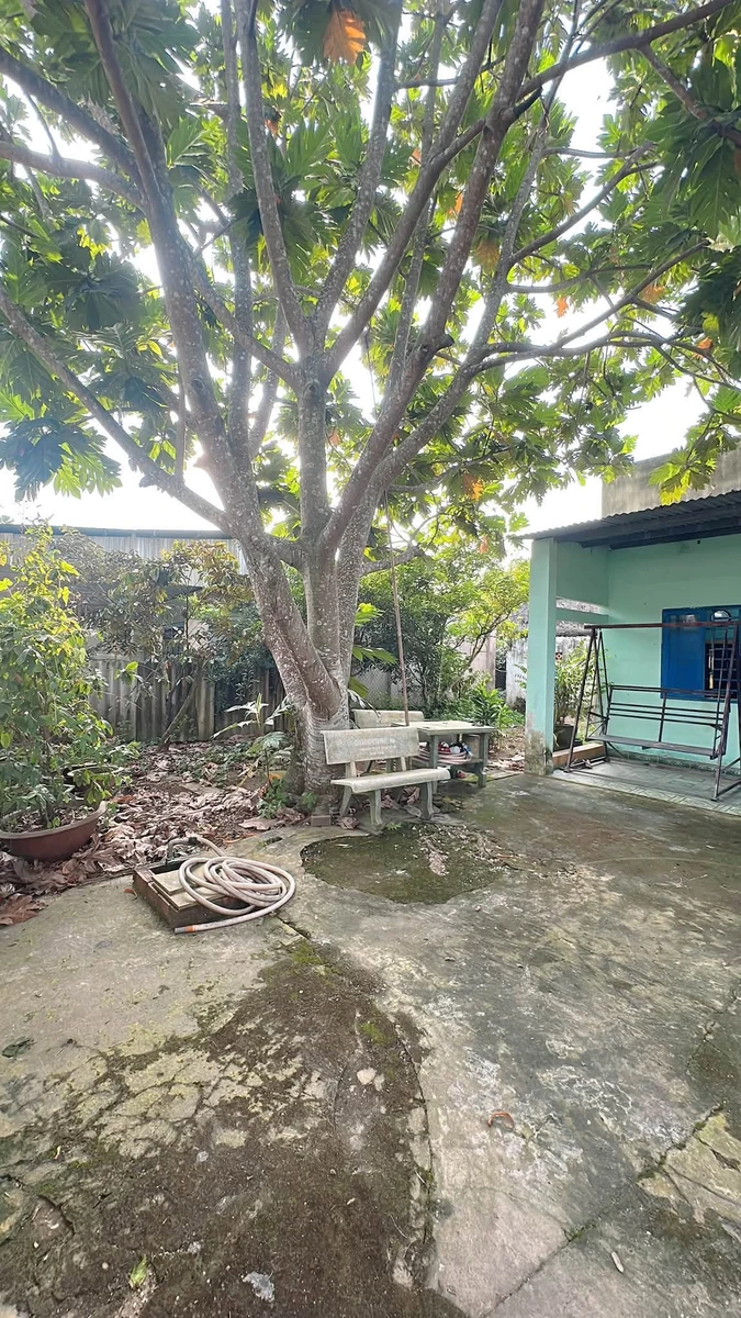 Bán nhà vườn 728m2 tại Đồng Nai giá 3 tỷ - Ảnh thu nhỏ 2
