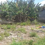Bán nền 150m2 Láng Sen, Vĩnh Thạnh, Cần Thơ 800 triệu - Ảnh thu nhỏ 3