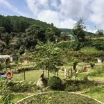Bán đất sinh thái Đông Anh Nam Ban Lâm Đồng 13000m² 16 tỷ - Ảnh thu nhỏ 2