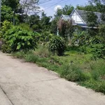 Đất bán 100m² Trừ Văn Thố, Bình Chánh 699 triệu - Ảnh thu nhỏ 3