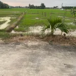 Bán đất thổ cư 6x25m (150m2) giá 599 triệu tại Bình Trinh Đông, Tân Trụ - Ảnh thu nhỏ 4