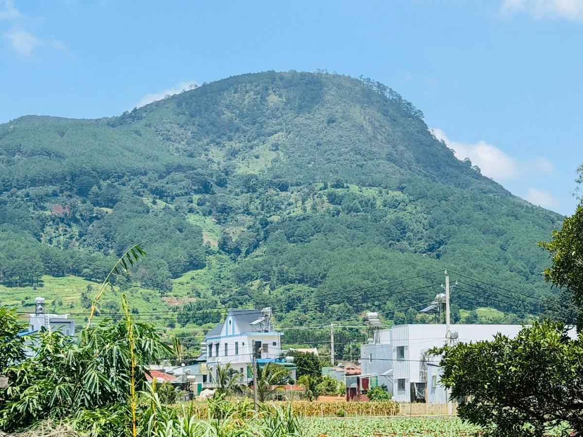 Bán đất Định An Hiệp An cửa ngõ Đà Lạt view đồi núi - Ảnh thu nhỏ 3