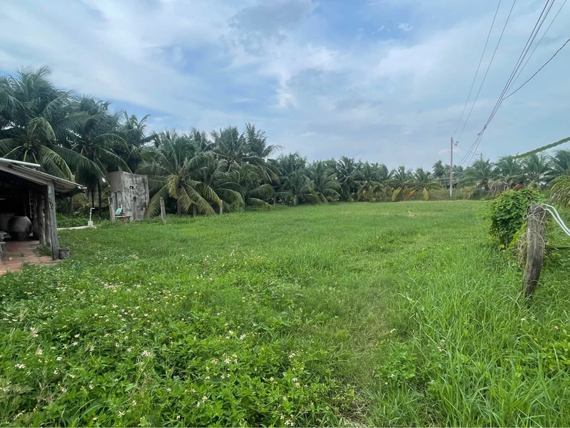 Bán đất 2000m² full thổ cư tại Xã Tuyên Quang
