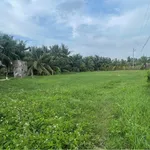 Bán đất 2000m² full thổ cư tại Xã Tuyên Quang - Ảnh thu nhỏ 1