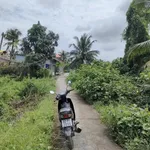 Bán 1000m² đất vườn mặt tiền ôtô Tây Ninh 2,3 tỷ - Ảnh thu nhỏ 4