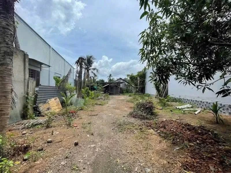 Bán đất công 1091m² Tam Phước, Vĩnh Long 2.4 tỷ - Ảnh 1