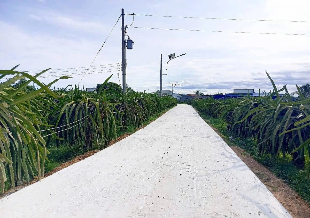 Bán đất thổ cư 100m² Hàm Liêm, Lâm Đồng - Ảnh thu nhỏ 2