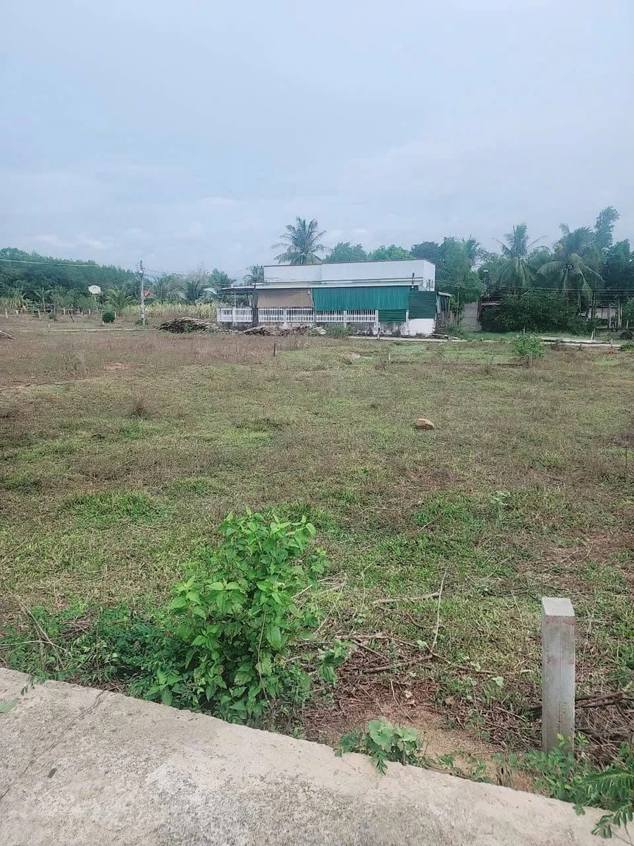 Bán đất nền 100m² Hóc Môn 400 triệu - Ảnh thu nhỏ 2