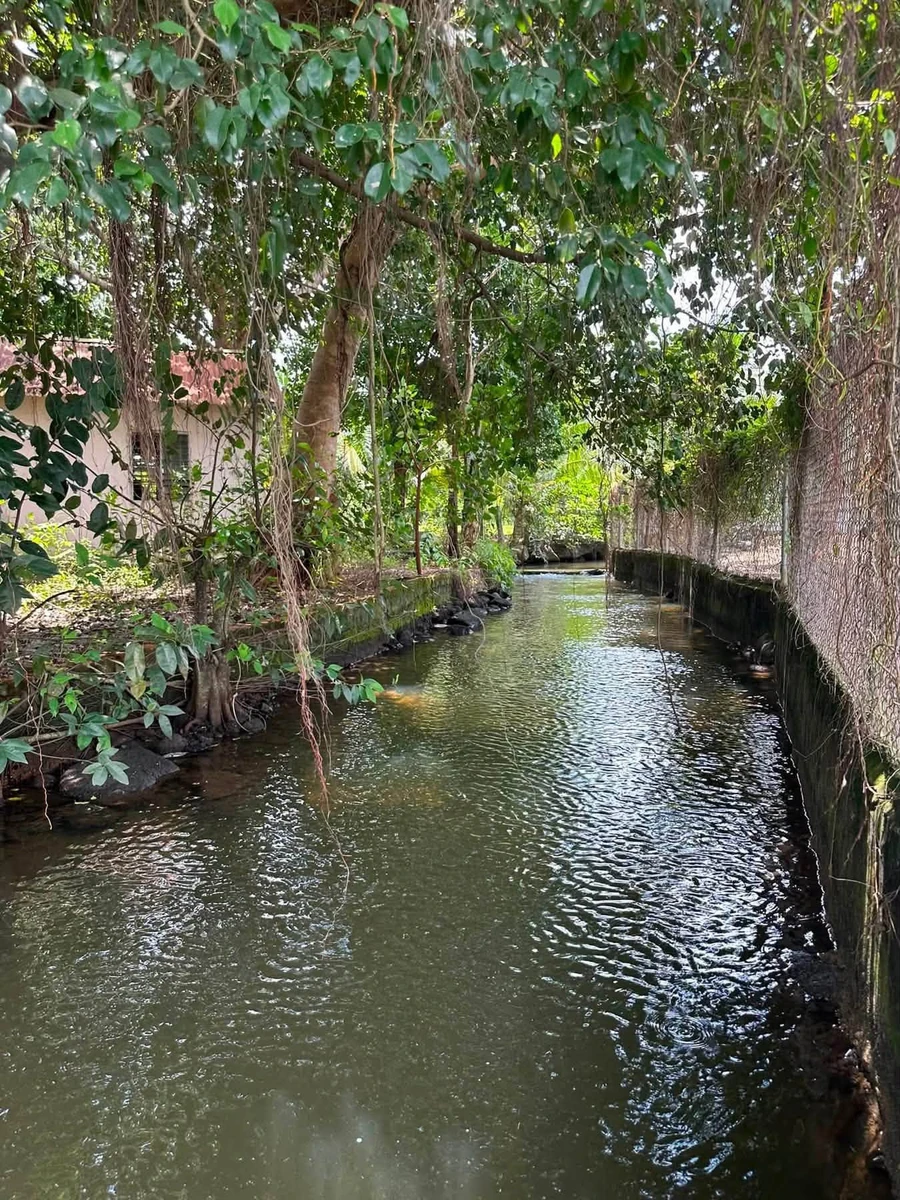 Bán đất nông nghiệp 3600m² tại Trảng Bom, Bình Dương - Ảnh thu nhỏ 2