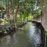 Bán đất nông nghiệp 3600m² tại Trảng Bom, Bình Dương - Ảnh thu nhỏ 2