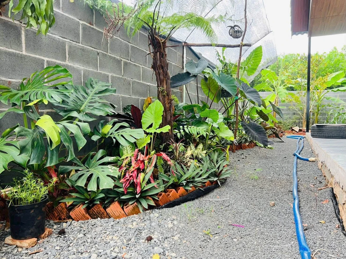 Bán đất nhà vườn 500m² mặt tiền đường nhựa 91C, Long Phước, TP. Bà Rịa, giá 1,79 tỷ - Ảnh thu nhỏ 5
