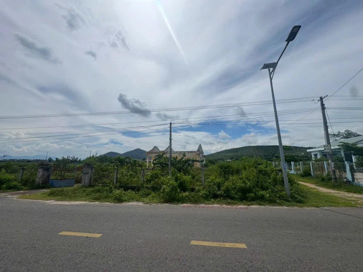 Bán lô đất 227m2 mặt đường nhựa thôn Nhơn Thái, Cát Nhơn giá 595 triệu - Ảnh thu nhỏ 2
