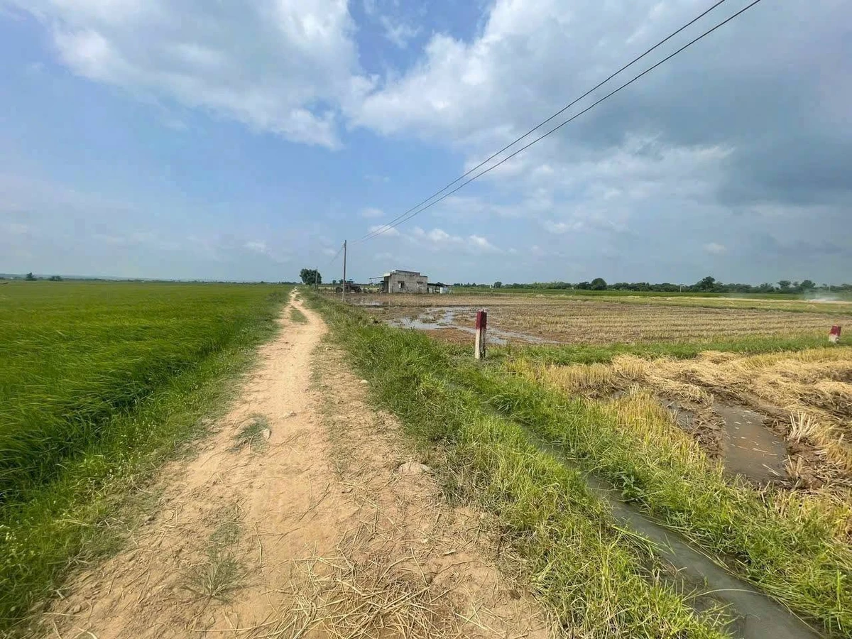 Bán đất xã Hàm Thuận Lâm Đồng 100m thổ cư 145 triệu - Ảnh thu nhỏ 2