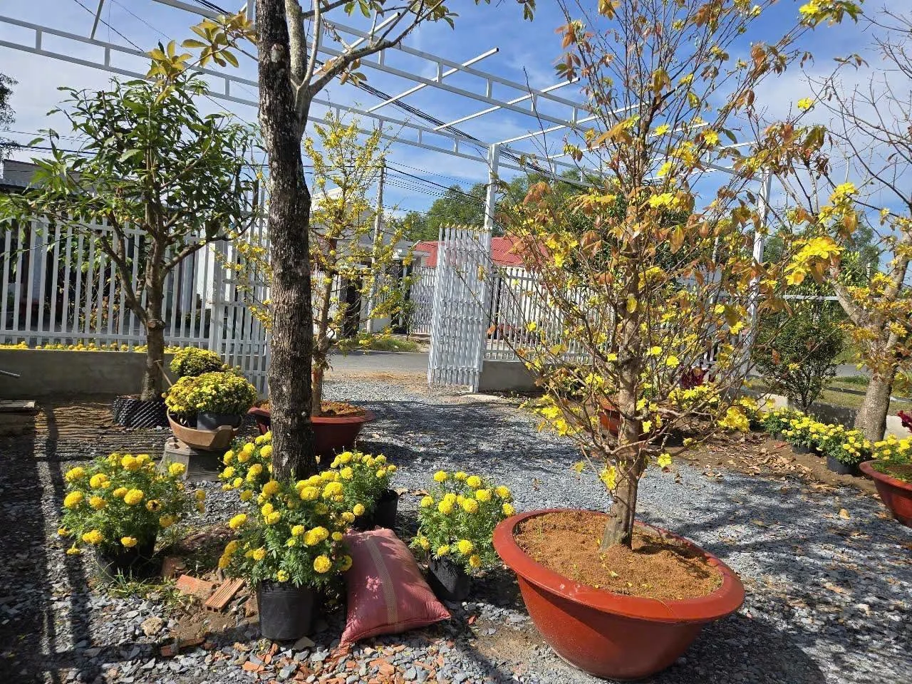 Bán đất mặt tiền đường 3/2 10x100 1000m2 (300m2 thổ cư) gần trường cấp 2 Hậu Nghĩa - Ảnh 1