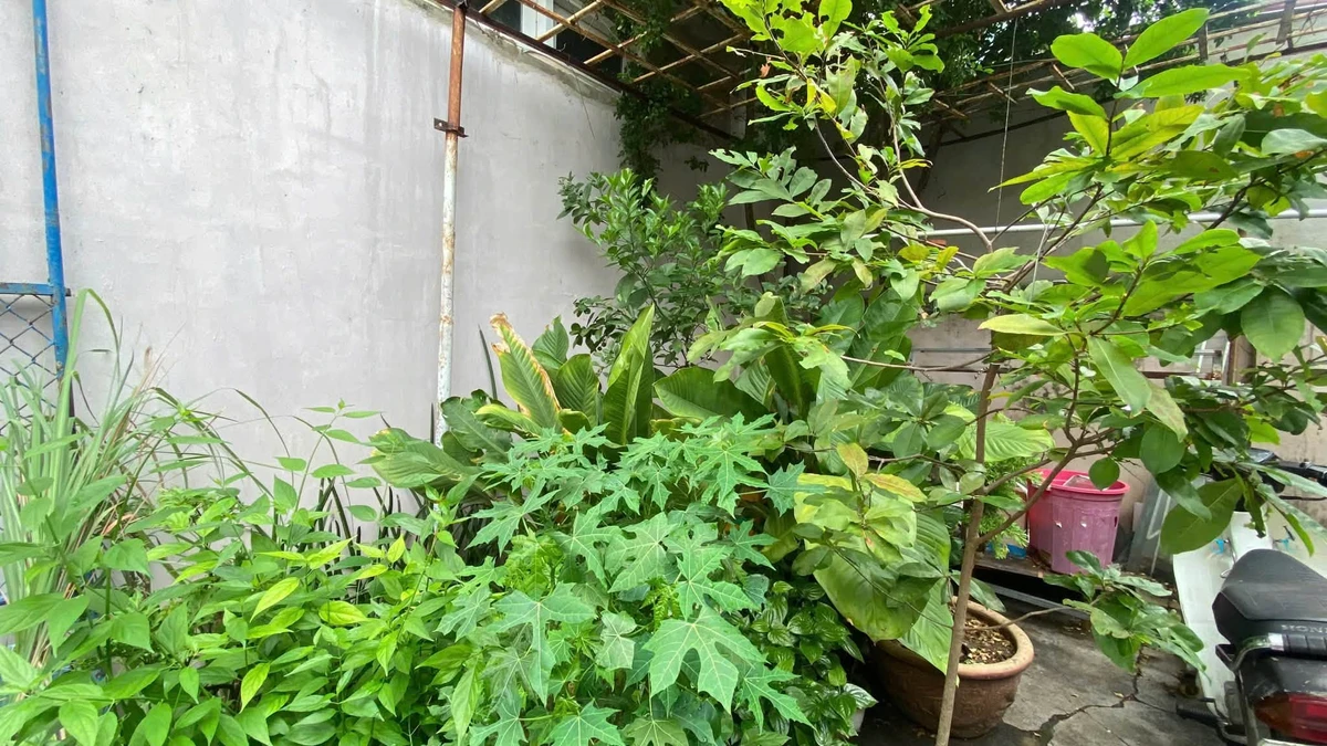Bán nhà phố Nha Trang 153m2 giá 5,5 tỷ - Ảnh thu nhỏ 2