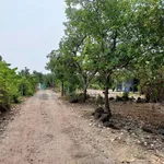 Bán đất nông nghiệp 2300m² mặt tiền 90m tại Xã Phú Hòa, Đồng Nai - Ảnh thu nhỏ 1
