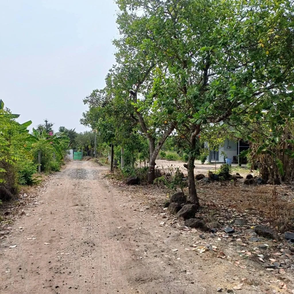 Bán đất nông nghiệp 2300m² mặt tiền 90m tại Xã Phú Hòa, Đồng Nai - Ảnh 1
