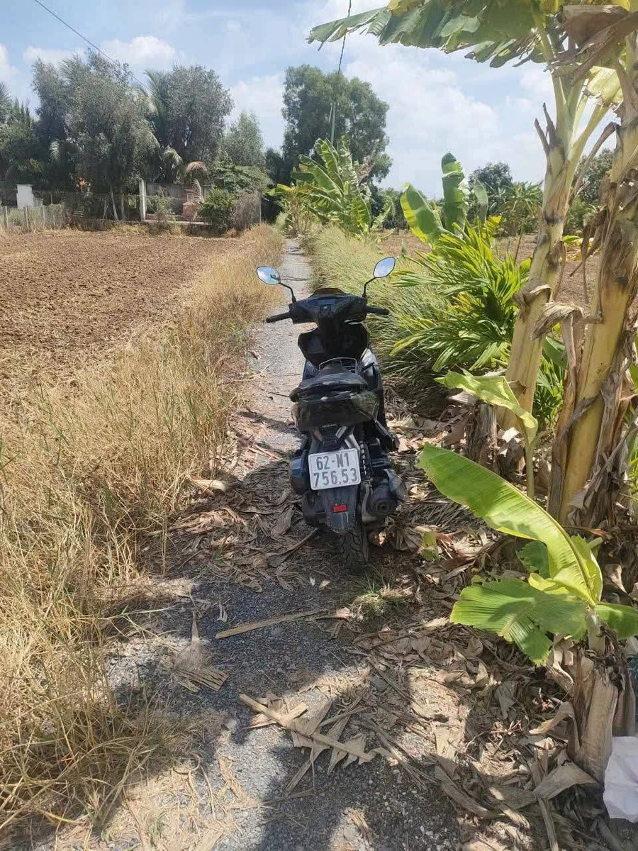 Bán đất 1000m2 Bến Lức Tây Ninh 1 tỷ 100 triệu - Ảnh thu nhỏ 5
