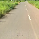 Bán đất mặt tiền đường Số 8 Chơn Thành 5500m2, 1.55 tỷ - Ảnh thu nhỏ 1