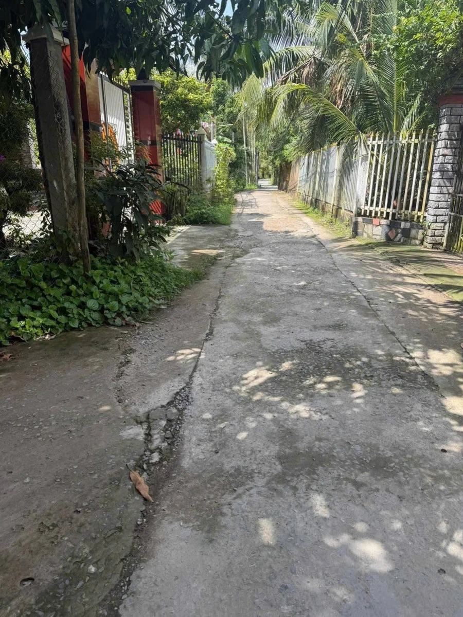 Bán đất Tân Thạch 1000m² - 750 triệu - Ảnh thu nhỏ 3