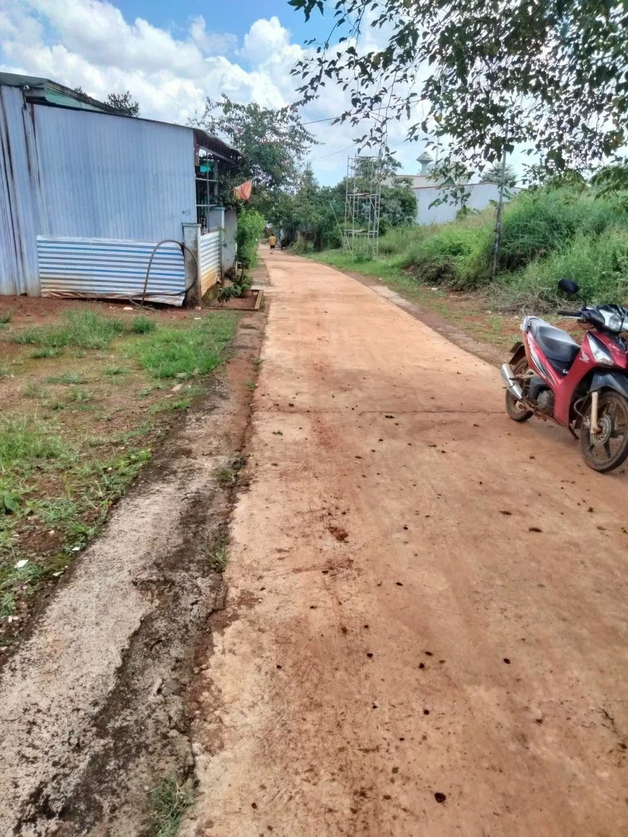 Bán đất Tuy Đức 294 m², 480 triệu - Ảnh 1