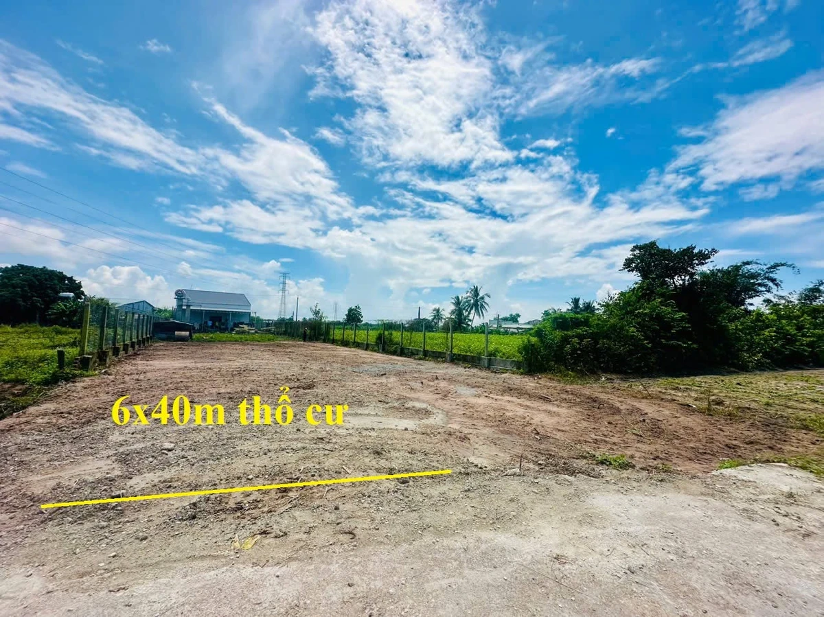 Bán đất 240m² 6x40m sổ hồng riêng Truông Mít Tây Ninh 330 triệu - Ảnh 1