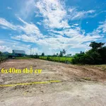 Bán đất 240m² 6x40m sổ hồng riêng Truông Mít Tây Ninh 330 triệu - Ảnh thu nhỏ 1