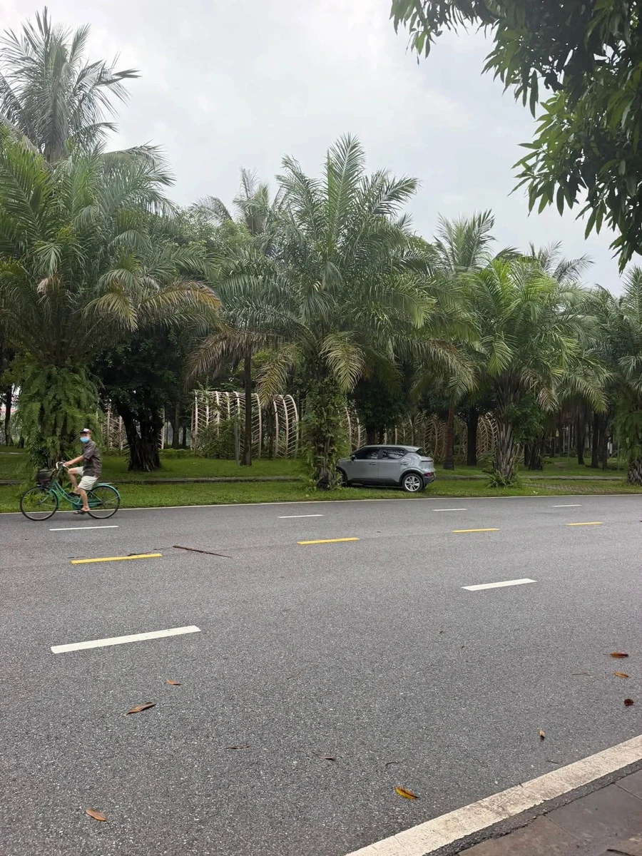 Bán biệt thự 200m2 tại Ecopark Hải An, giá 2 tỷ - Ảnh thu nhỏ 2