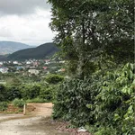 Bán 1000m² đất Mê Linh Đà Lạt có vườn cà phê - Ảnh thu nhỏ 1