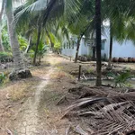 Bán đất vườn 6747 m² xã Phú An Hoà, Bến Tre - Ảnh thu nhỏ 1
