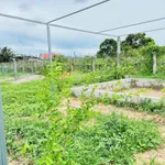 Bán đất quy hoạch thổ cư 1.2 sào Hàm Liêm 1 tỷ 150 triệu - Ảnh thu nhỏ 2