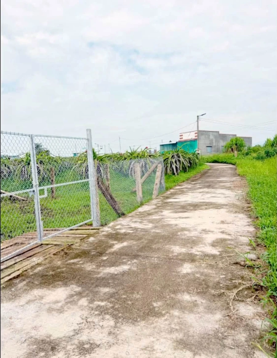 Bán đất 900m² Hàm Liêm Phan Thiết, 479 triệu - Ảnh thu nhỏ 2