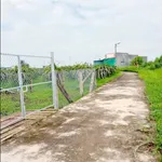 Bán đất 900m² Hàm Liêm Phan Thiết, 479 triệu - Ảnh thu nhỏ 2