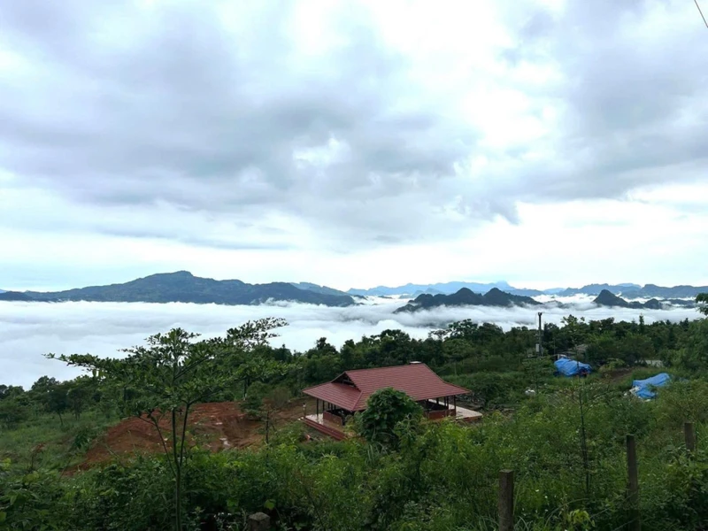 Bán đất làm khu nghỉ dưỡng đỉnh Đồn Đèn, Hồ Ba Bể, Bắc Kạn, liên hệ trực tiếp: 0888 556 ***