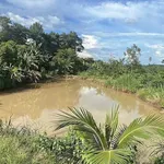 Bán đất rẫy 1,1ha cà phê sầu riêng Buôn Ma Thuột - Ảnh thu nhỏ 1
