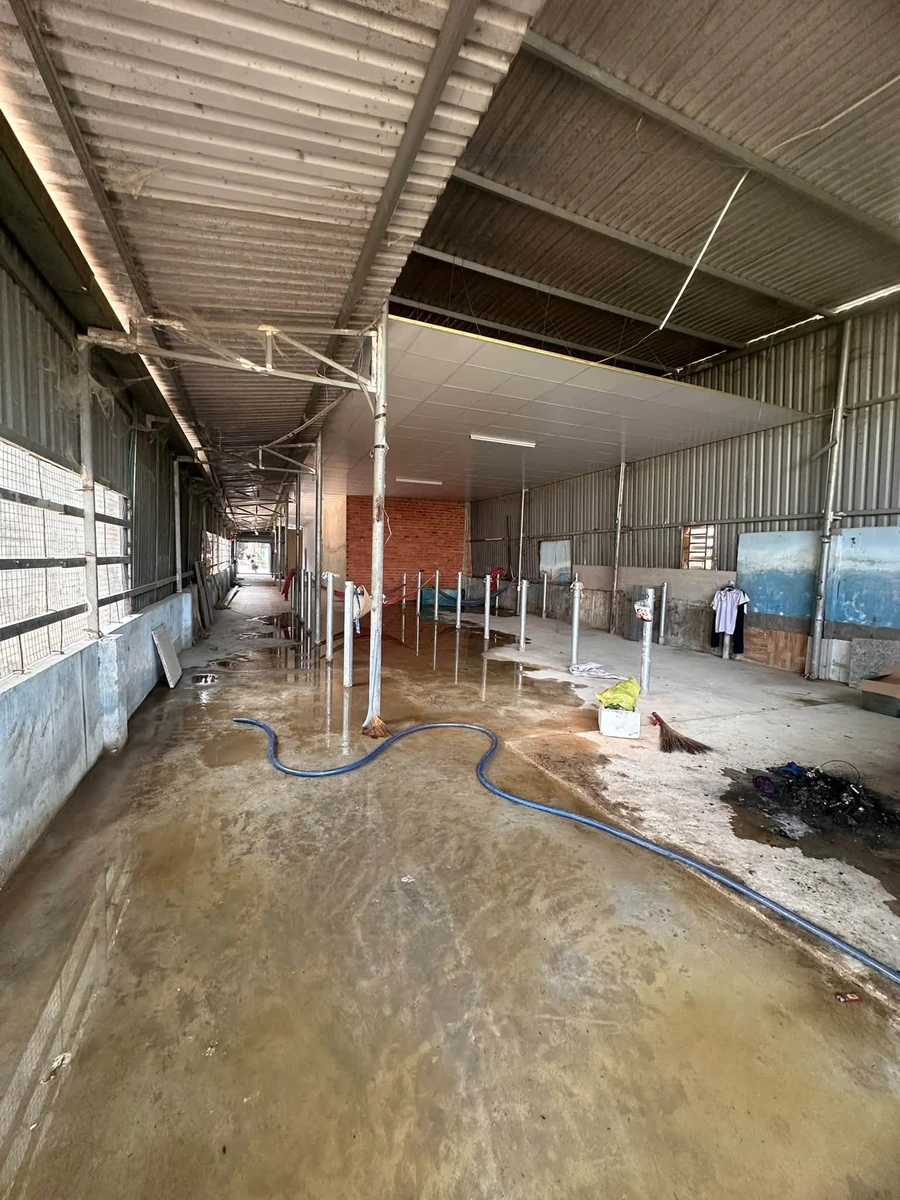 Bán gấp kho mặt tiền Tỉnh lộ 9, Mỹ Hạnh Bắc, Long An, 480m2, giá 8,5 tỷ - Ảnh thu nhỏ 5