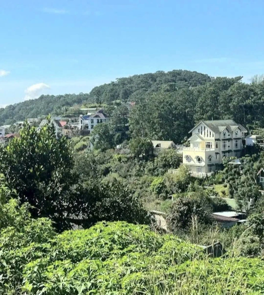 Bán biệt thự 470m² đường Khe Sanh, Đà Lạt, view đẹp - Ảnh thu nhỏ 2