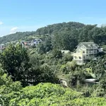 Bán biệt thự 470m² đường Khe Sanh, Đà Lạt, view đẹp - Ảnh thu nhỏ 2