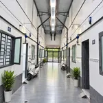 Bán dãy trọ 10 phòng 100m² 1,5 tỷ đồng gần KCN - Ảnh thu nhỏ 1