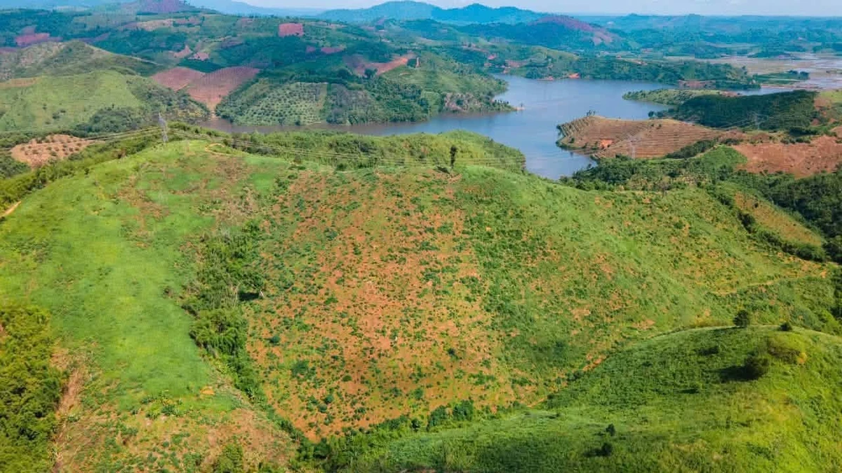 Bán 3 hectare đất Đắk Nông 450 triệu - Ảnh thu nhỏ 4