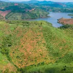 Bán 3 hectare đất Đắk Nông 450 triệu - Ảnh thu nhỏ 4
