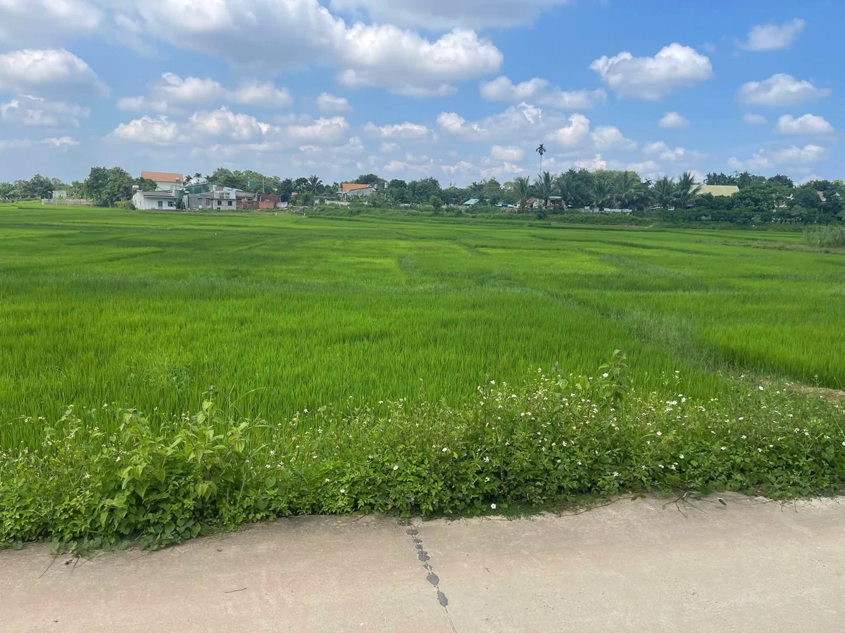 Bán đất hẻm Nguyễn Trường Tộ 110m², 1 tỷ 350 triệu - Ảnh thu nhỏ 3