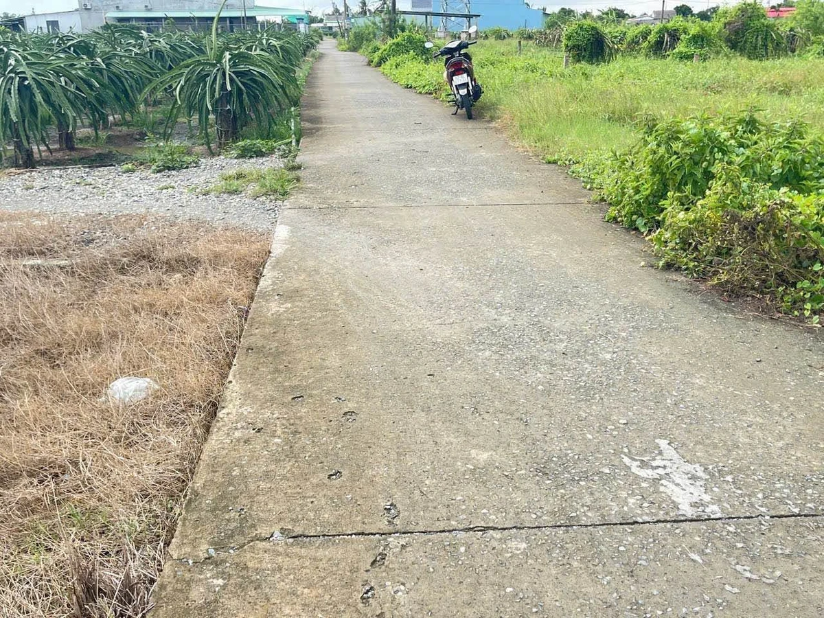 Bán đất 3023 m2 Tây Ninh 450 triệu/1000 m2 - Ảnh thu nhỏ 2