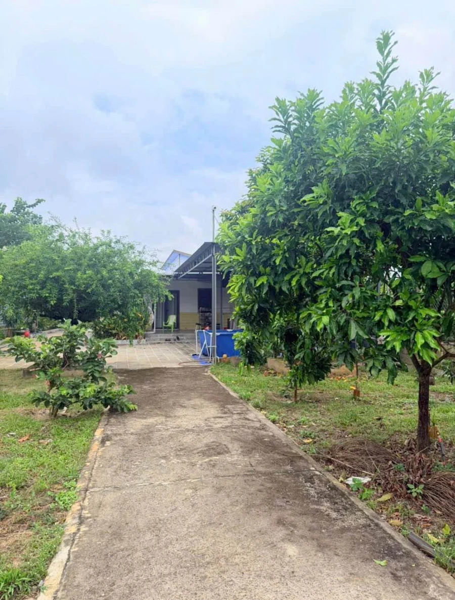 Nhà vườn cây ăn trái 3000m2, 300m2 thổ cư, gần QL 13 - Ảnh thu nhỏ 3