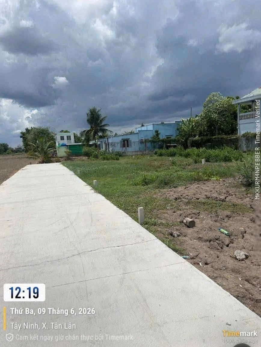 Bán đất thổ cư 100m2 giá 320 triệu tại Ấp 6, Phước Đông, Tân Lân, Tây Ninh - Ảnh thu nhỏ 4